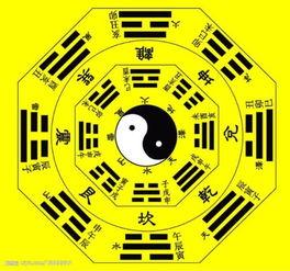 八卦话题什么意思,揭秘娱乐圈背后的秘密与真相