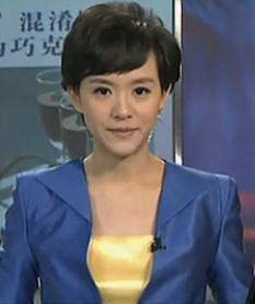 北京卫视女主播BTV,风采绽放的电视界明星