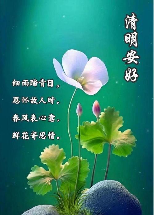 想亲人的图片,亲情的温馨瞬间