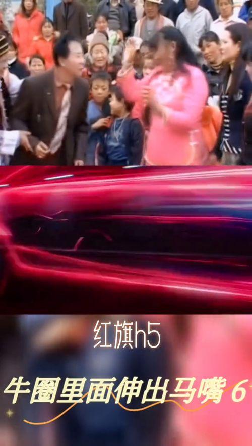 云南对唱搞笑视频,方言碰撞，笑料百出